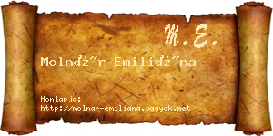 Molnár Emiliána névjegykártya